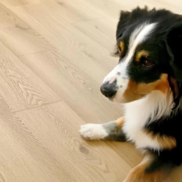 Klebevinyl – Eiche Storm – 2.5mm/0.55mm – Rigid Vinylboden – Vinyl Outlet